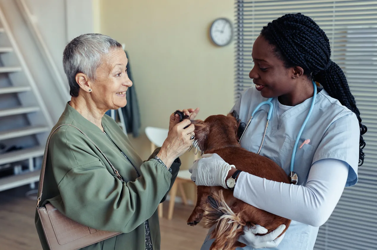 A veterinarian holding a small dog while its owner pets it